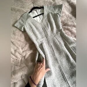 Club Monaco dress
